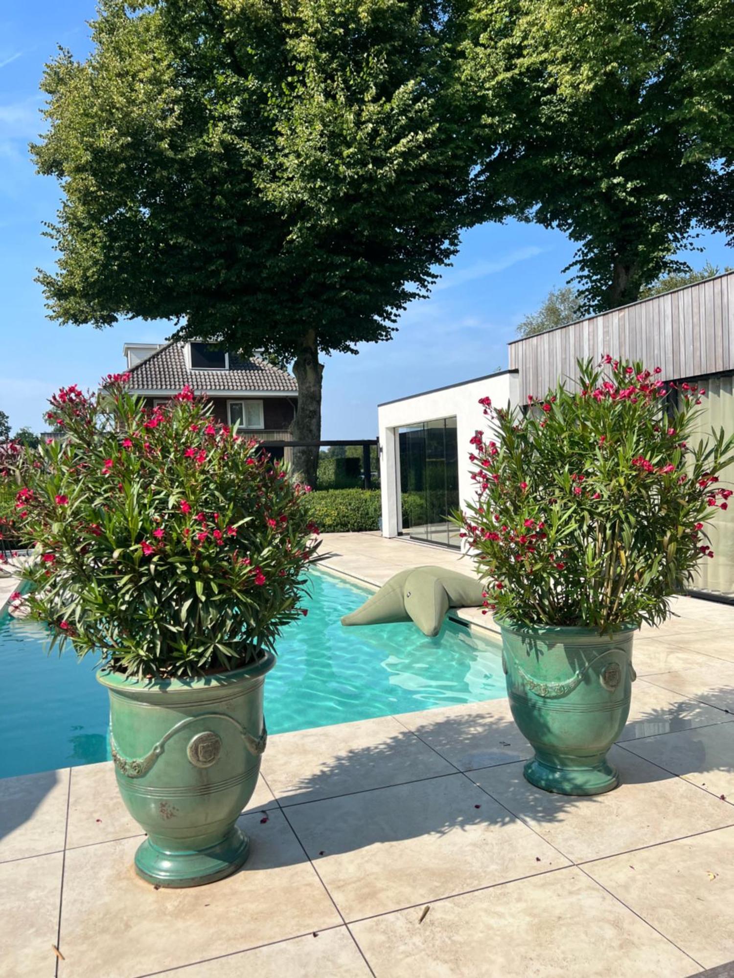 Kootwijkerbroek De Lichtboei B&B 외부 사진