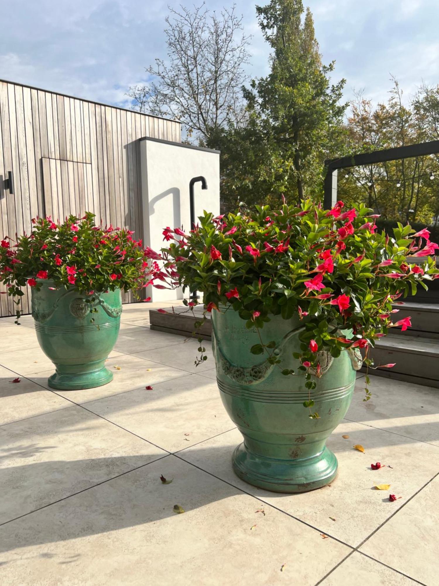 Kootwijkerbroek De Lichtboei B&B 외부 사진